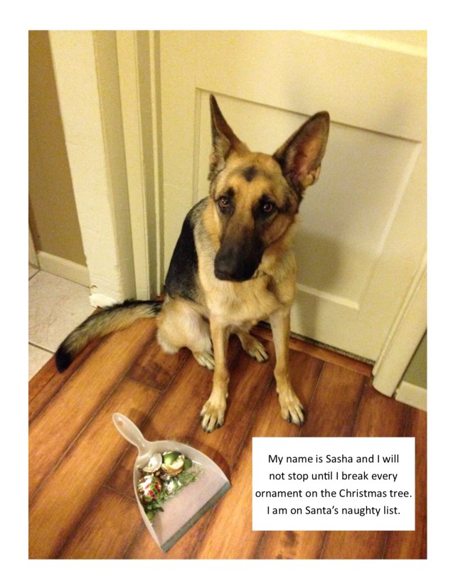 Sasha-Dog-Shaming