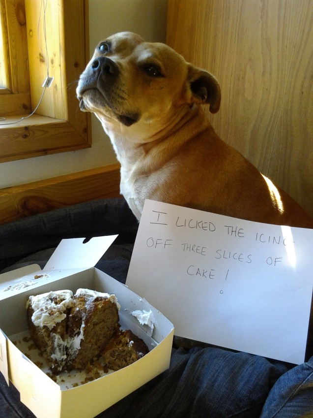 max-shaming