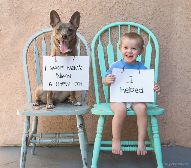 Dog Busts Bad Babysitter