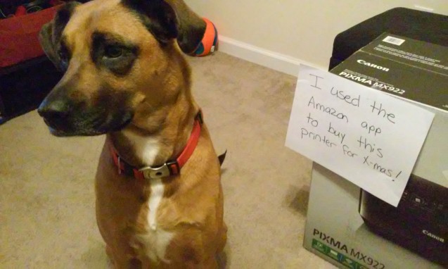 Shopaholic - Dogshaming