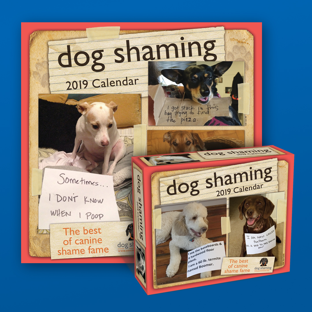 dog-shaming-the-book-and-the-calendars-dogshaming